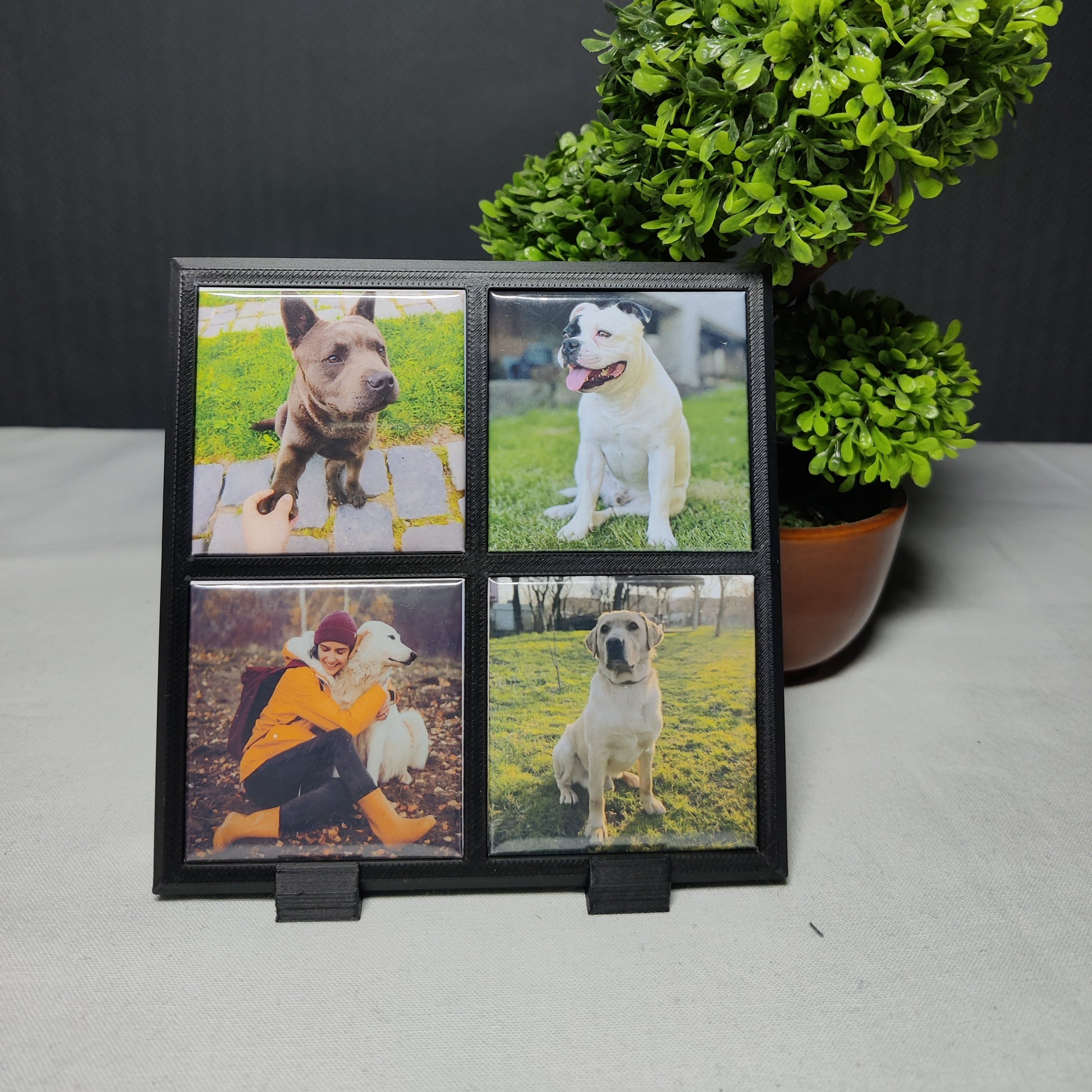 Ramă cu 4 Magneți Foto Personalizați